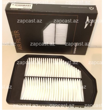 Hyundai Genesis G80 (2013–2020) filter hava 